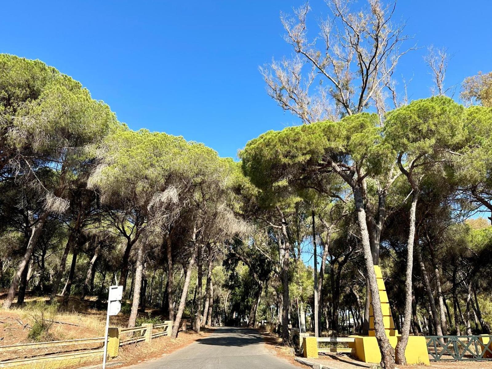דירות אל פוארטו דה סנטה מריה La Casita Del Mar מראה חיצוני תמונה